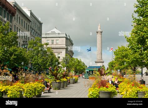 place jacques cartier montréal qc|Jacques Cartier monument.